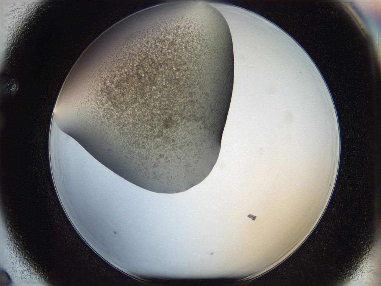 05k2_F6_ImagerDefaults_3.jpg
