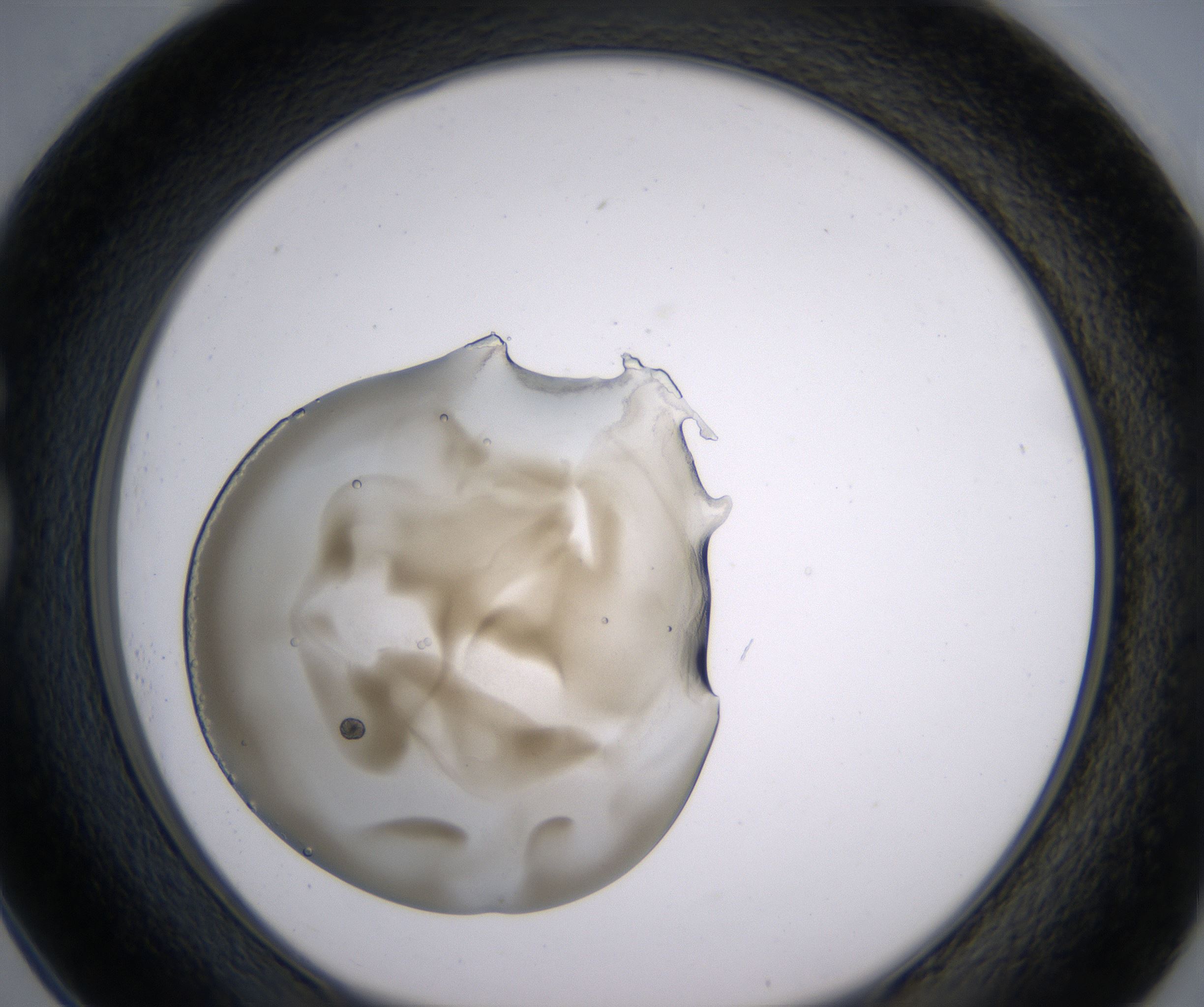 G1_HighResolution_Precipitate_1.jpg