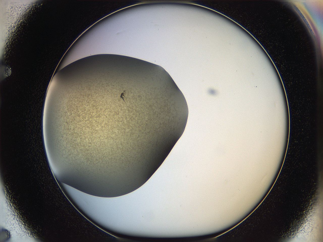 05k2_F7_ImagerDefaults_3.jpg