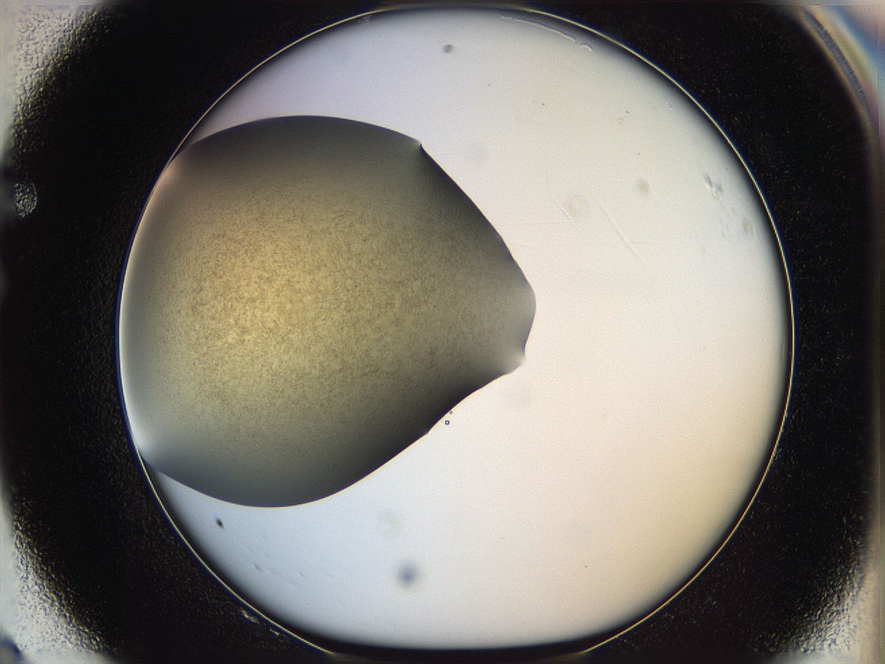 05k2_F8_ImagerDefaults_3.jpg