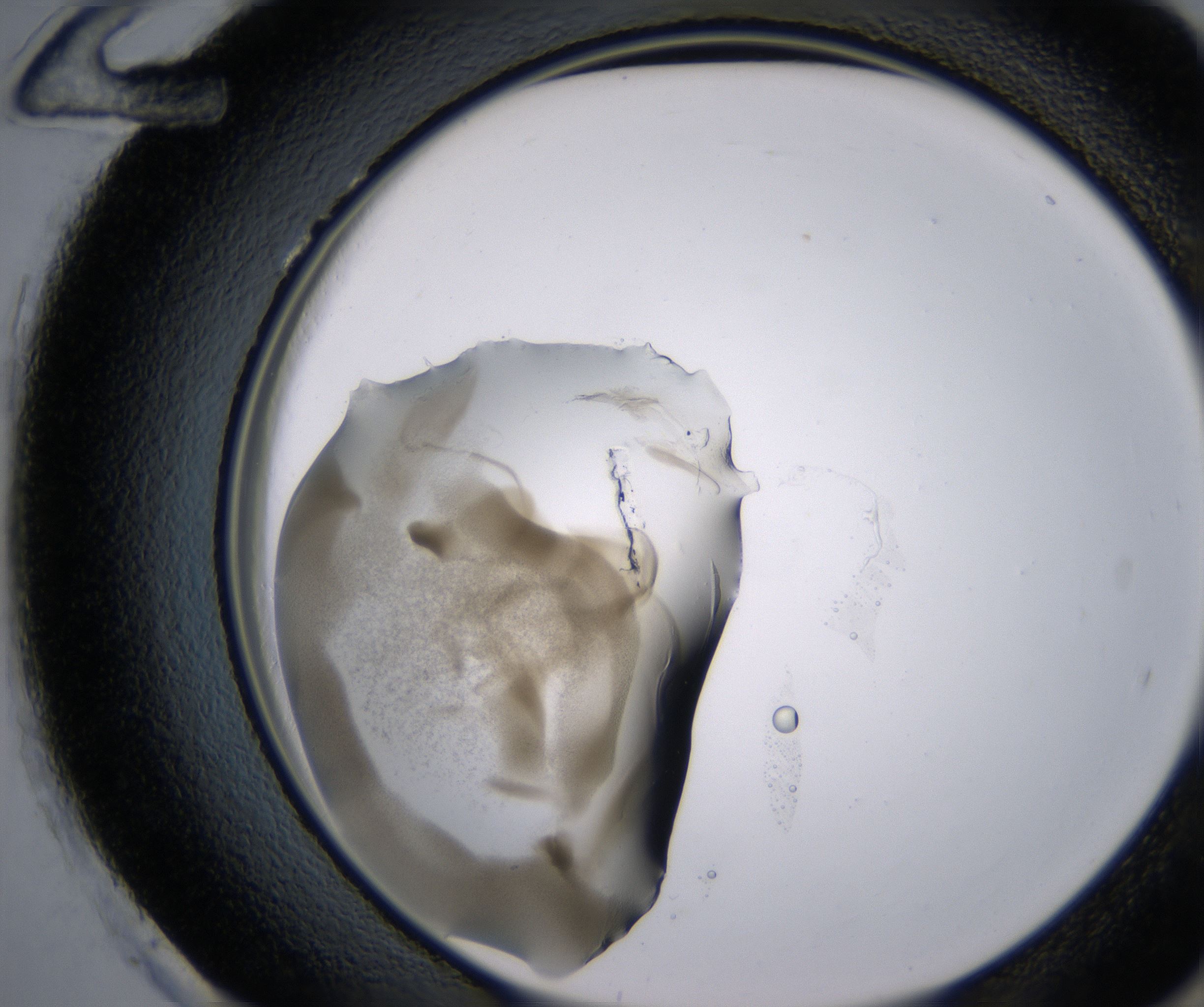 H12_HighResolution_Precipitate_2.jpg