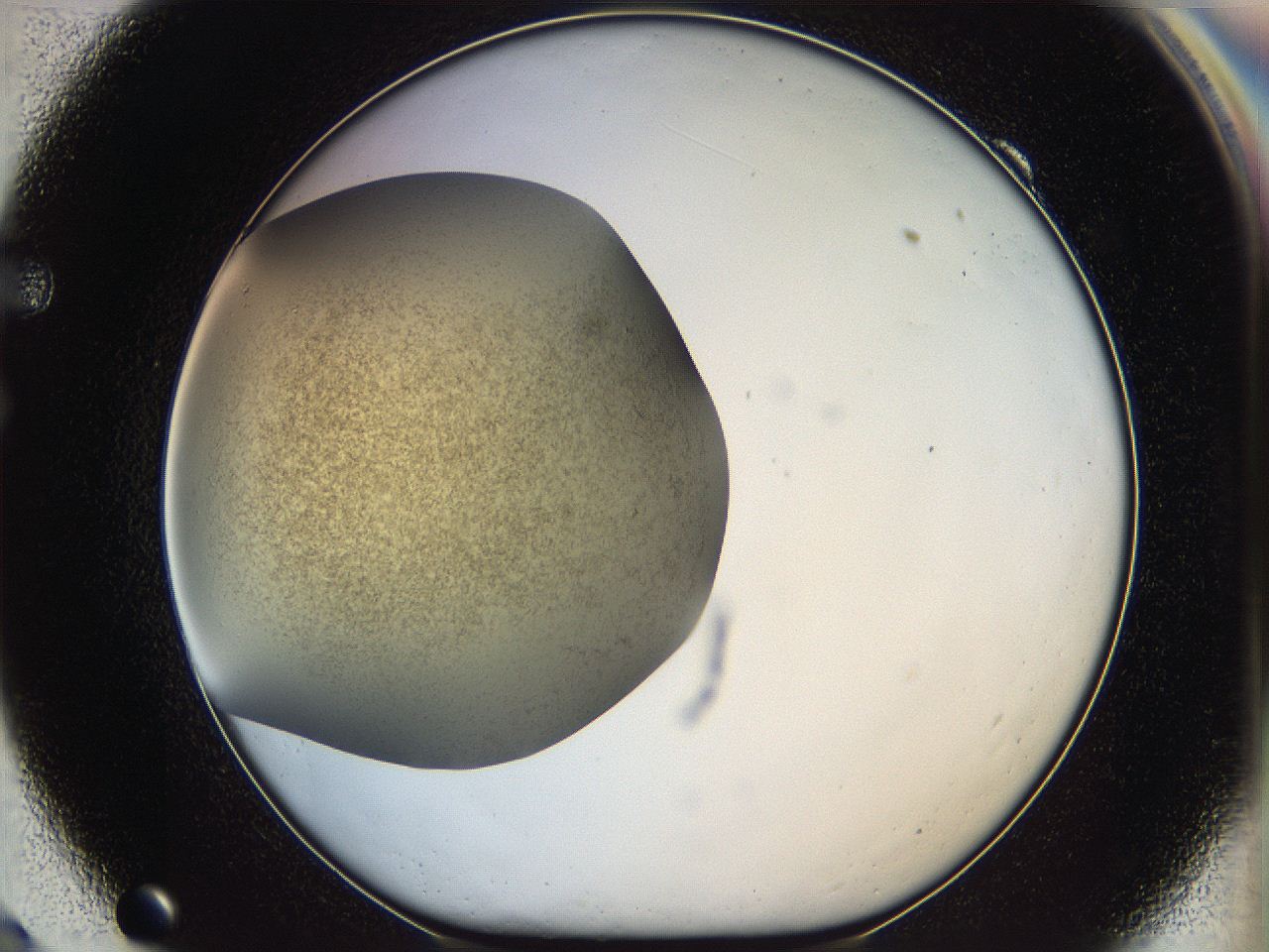 05k2_F9_ImagerDefaults_3.jpg