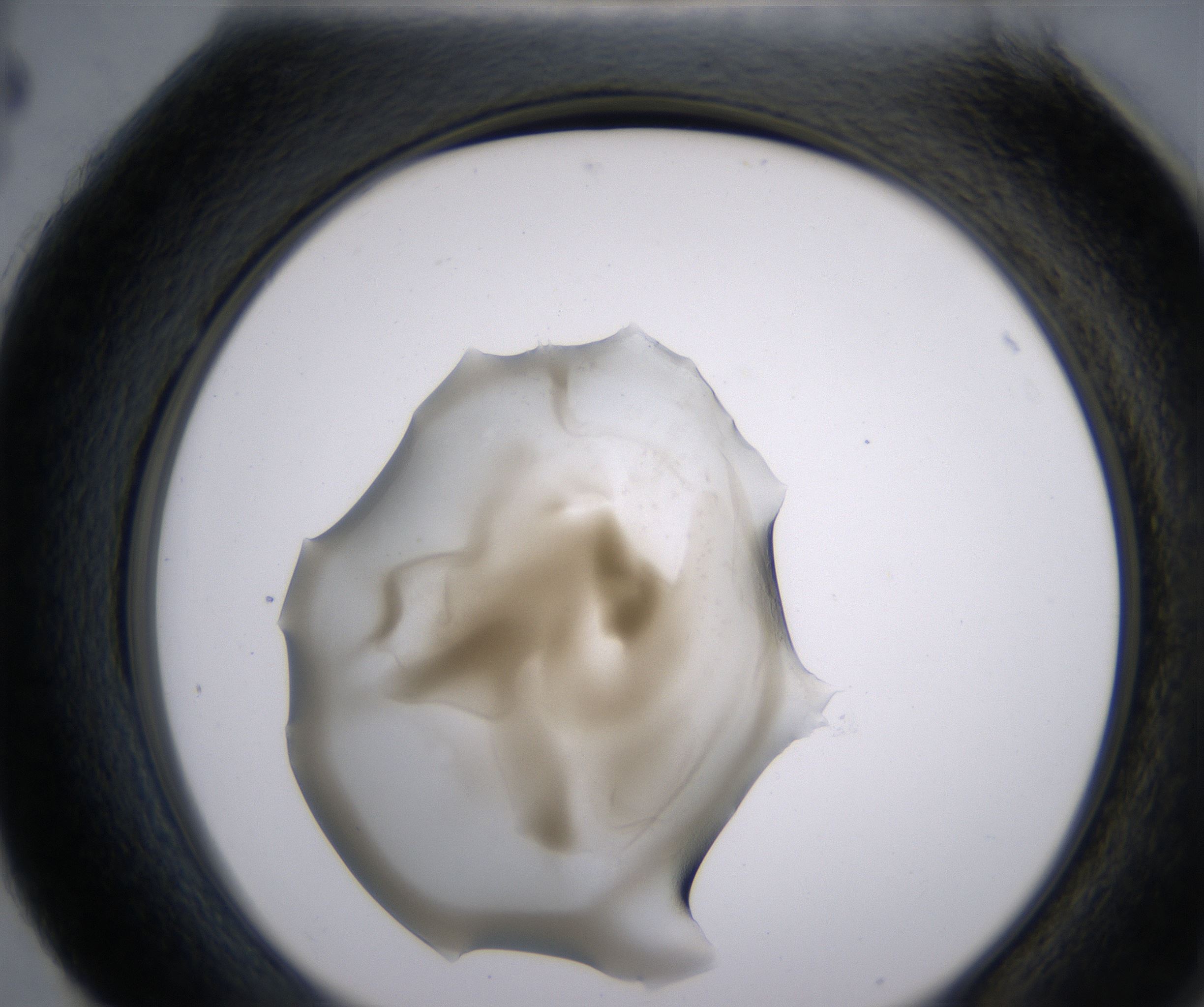 H4_HighResolution_Precipitate_2.jpg