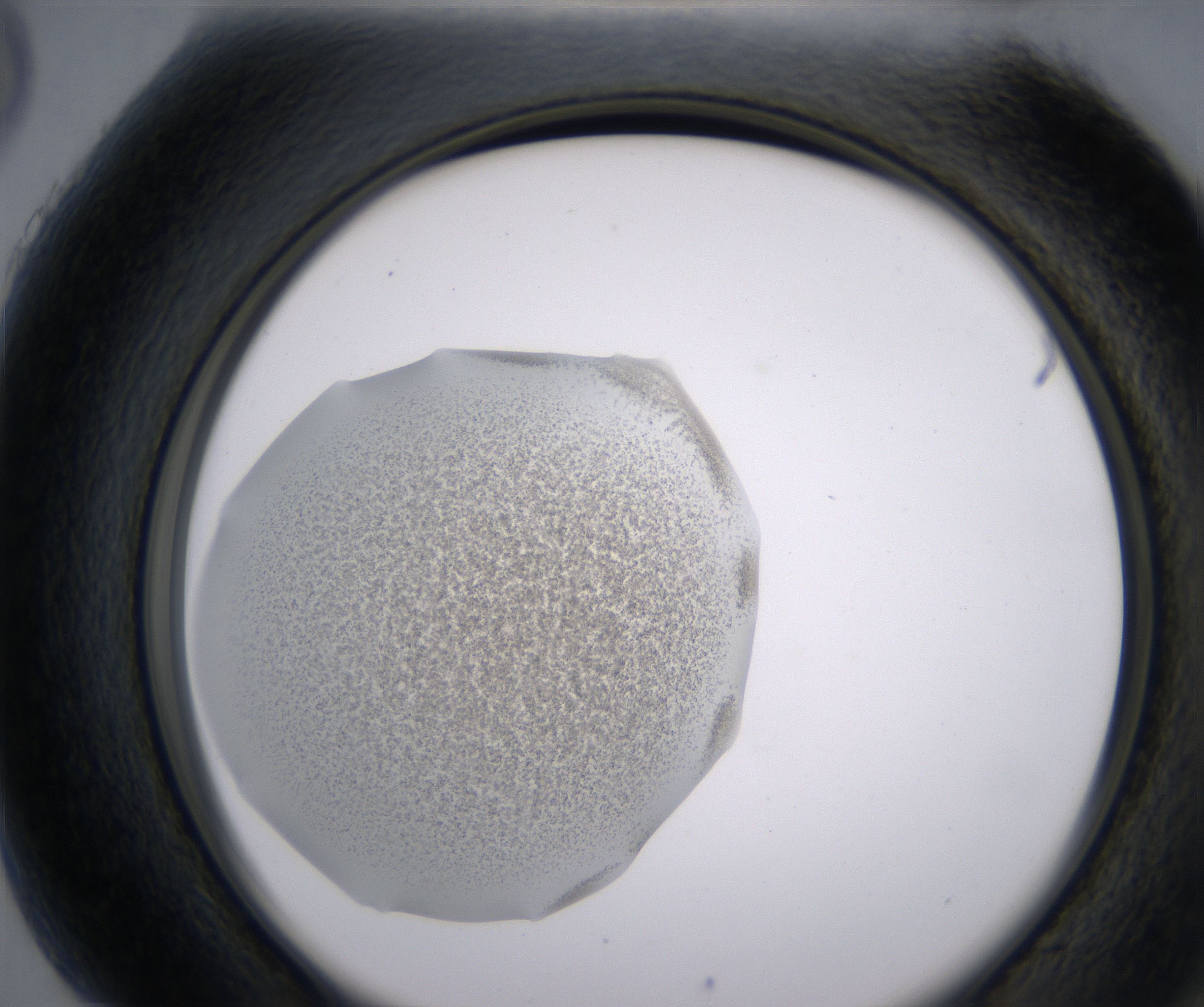 H5_HighResolution_Precipitate_2.jpg