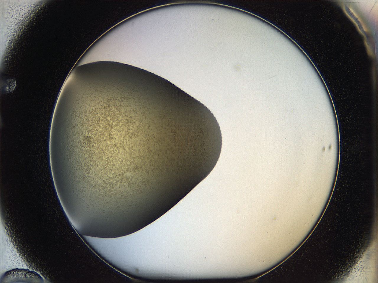 05k2_F10_ImagerDefaults_3.jpg