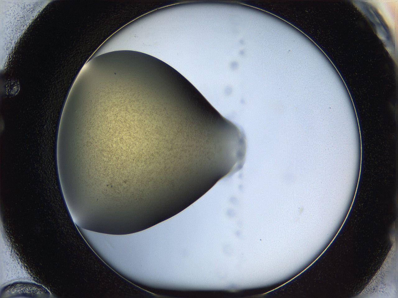 05k2_F12_ImagerDefaults_2.jpg