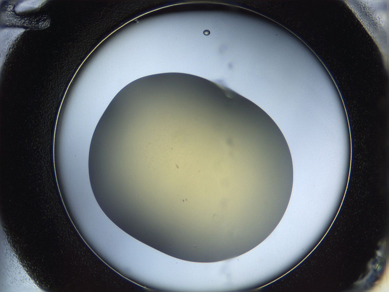 05k2_F12_ImagerDefaults_0.jpg