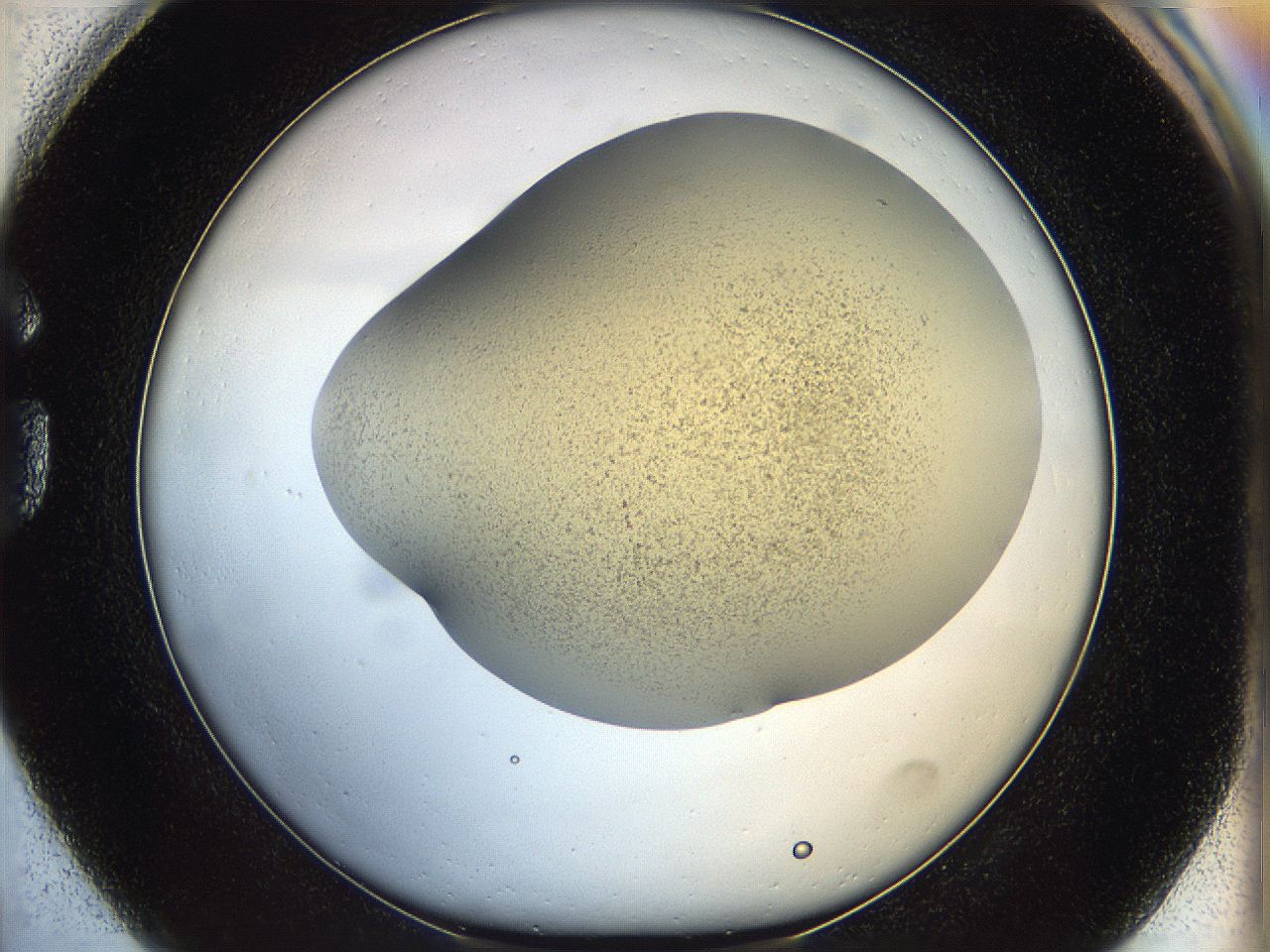 05k2_G1_ImagerDefaults_3.jpg