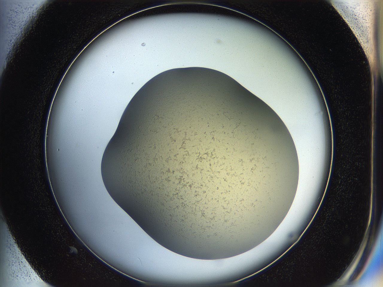 05k2_G1_ImagerDefaults_2.jpg