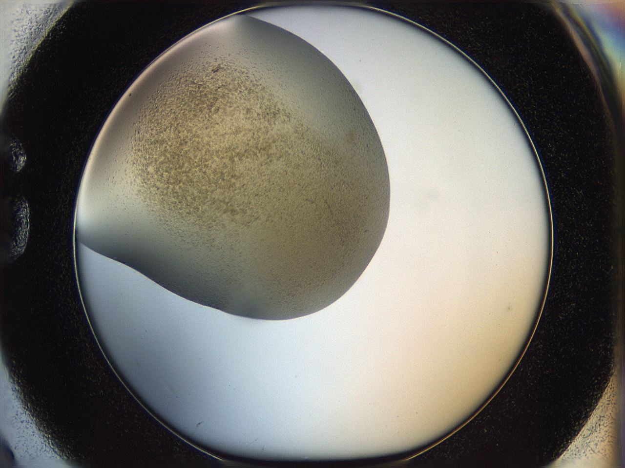 05k2_G2_ImagerDefaults_3.jpg