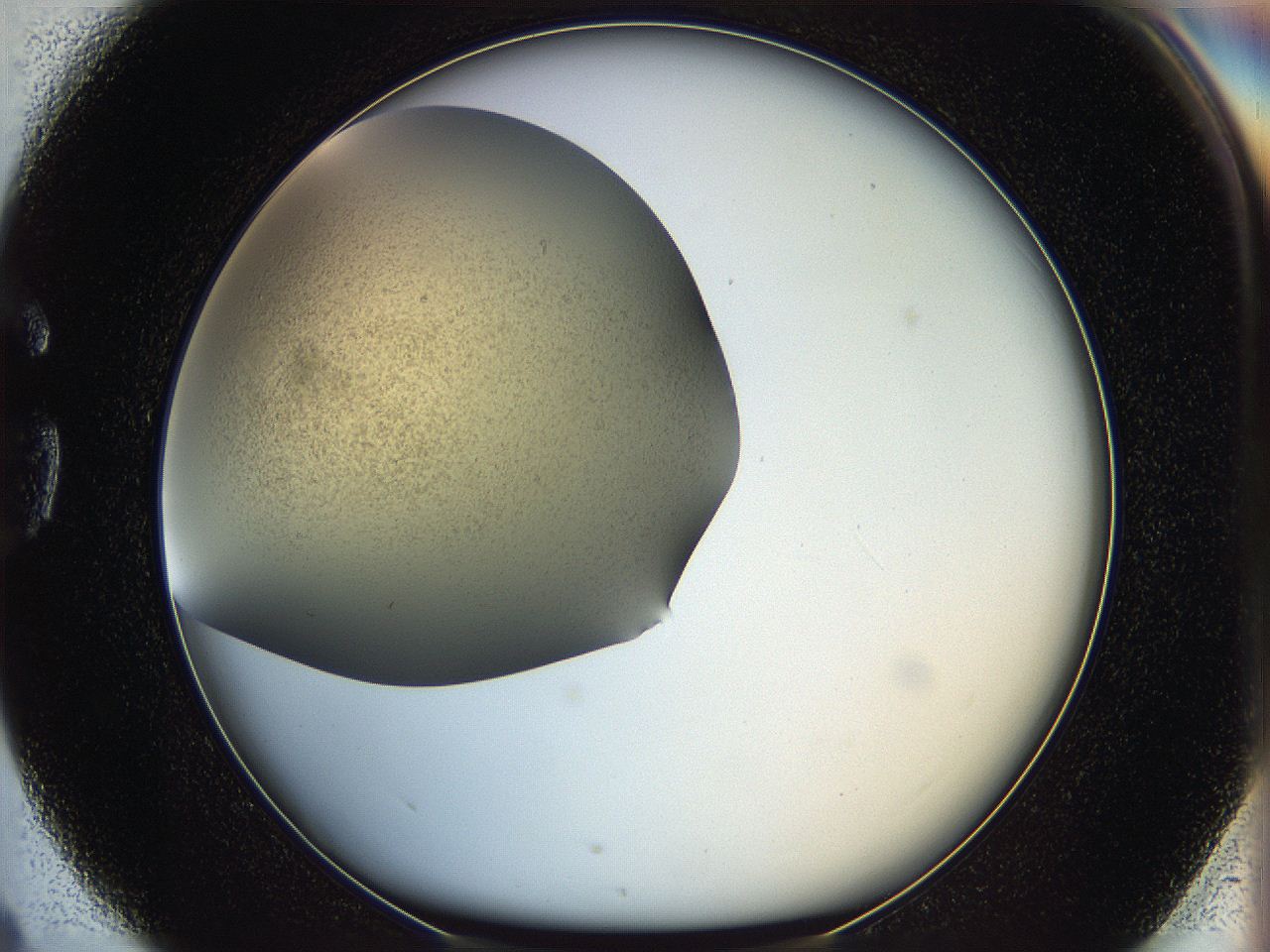 05k2_G4_ImagerDefaults_2.jpg