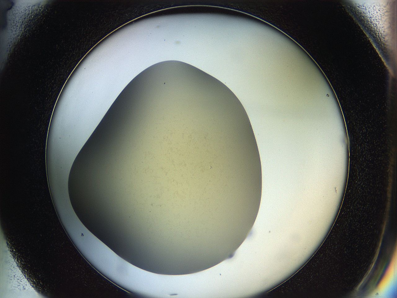 05k2_G4_ImagerDefaults_0.jpg