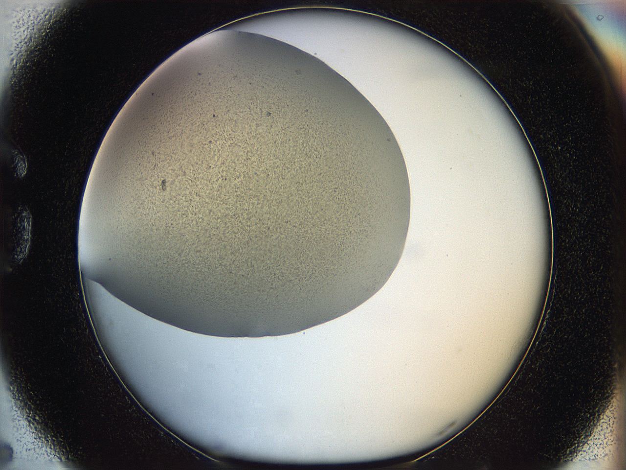 05k2_G5_ImagerDefaults_2.jpg