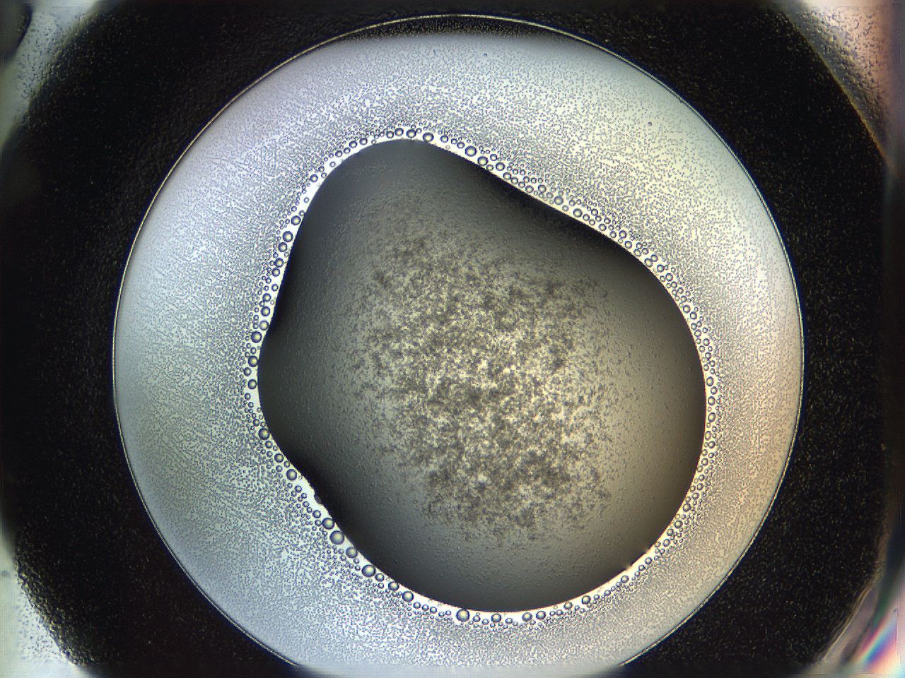 05k2_G6_ImagerDefaults_3.jpg