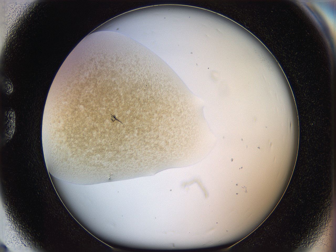 05k2_G8_ImagerDefaults_3.jpg