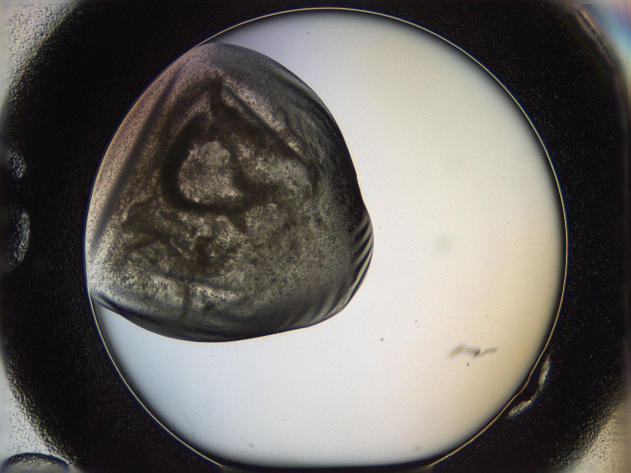 05k2_G10_ImagerDefaults_3.jpg