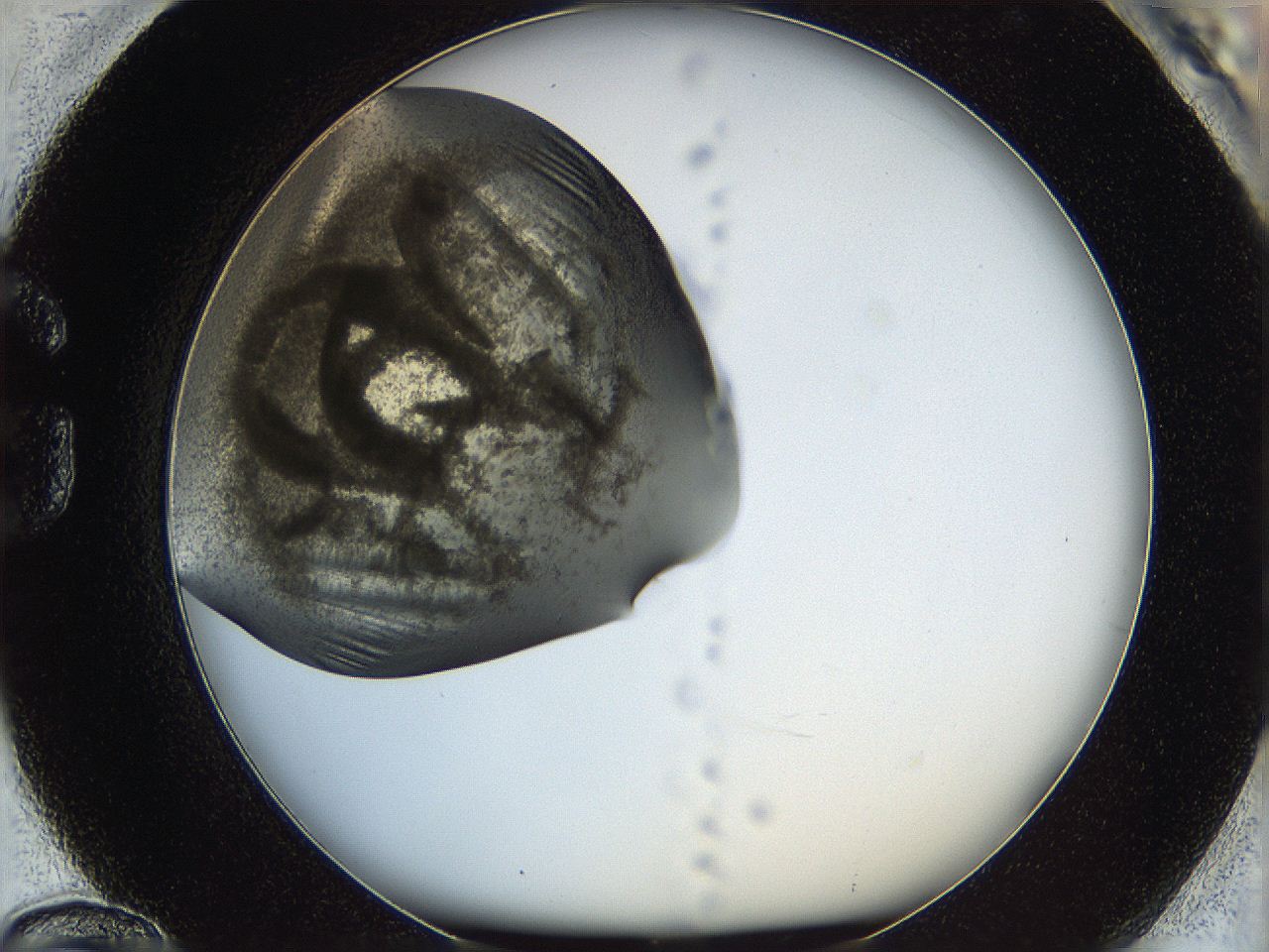 05k2_G12_ImagerDefaults_3.jpg