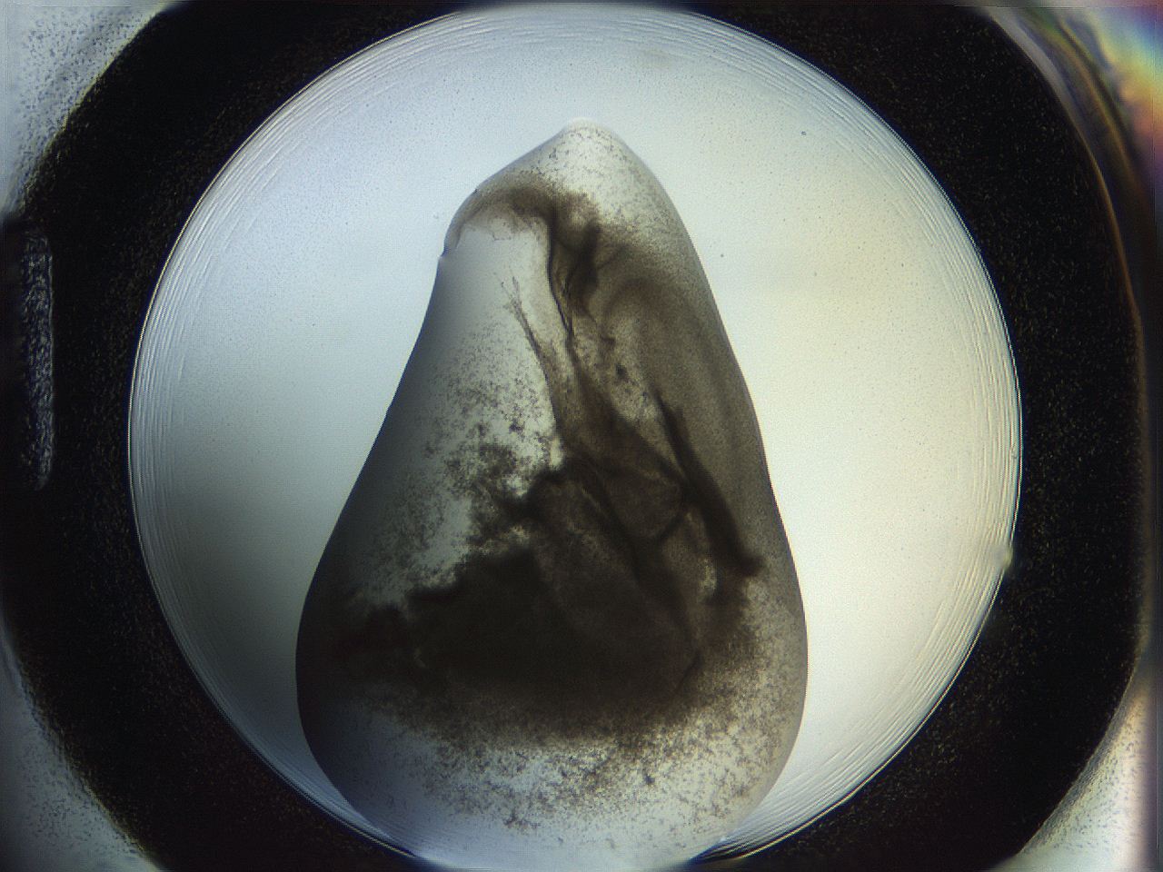 05k2_H1_ImagerDefaults_3.jpg