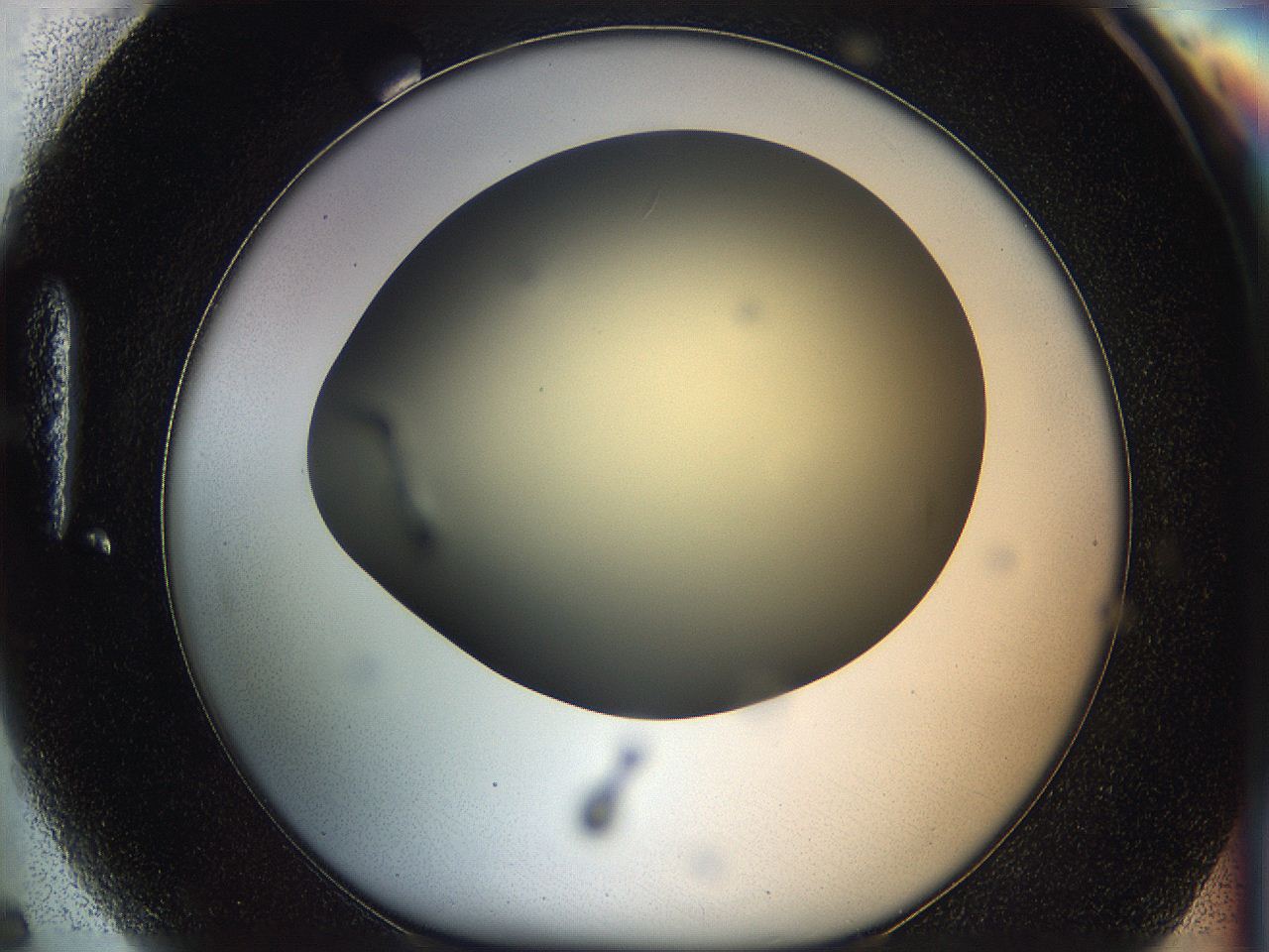 05k2_H5_ImagerDefaults_0.jpg