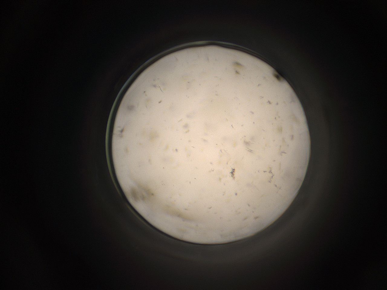 05k8_A11_ImagerDefaults_9.jpg