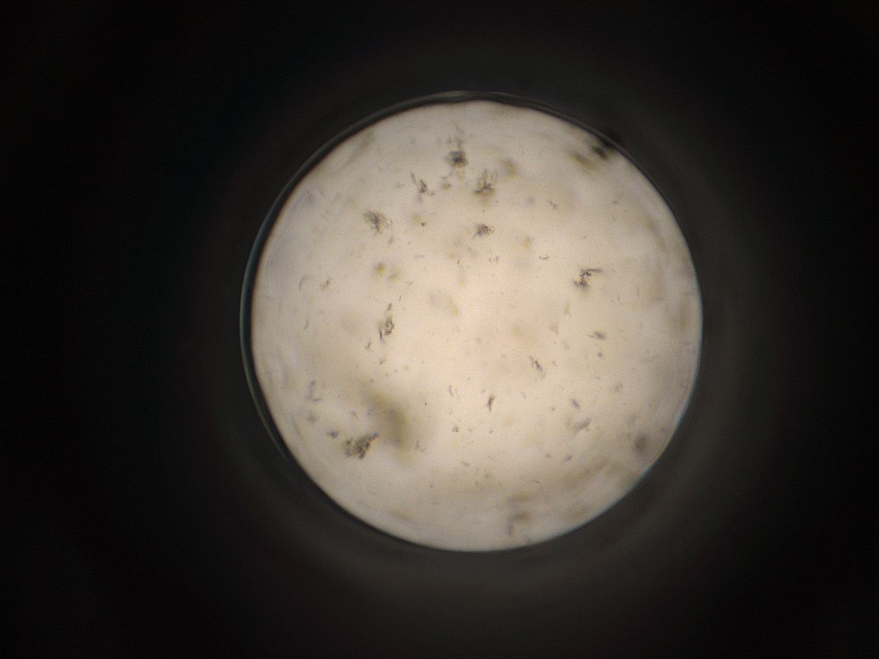 05k8_A10_ImagerDefaults_9.jpg