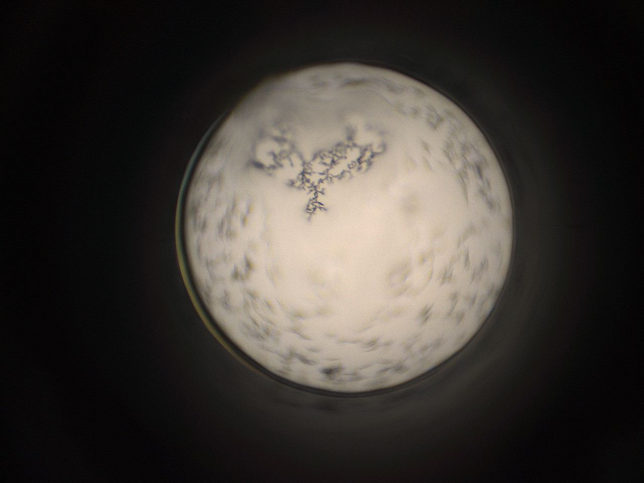 05k8_B1_ImagerDefaults_9.jpg