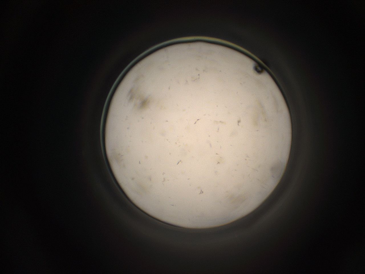 05k8_B11_ImagerDefaults_9.jpg