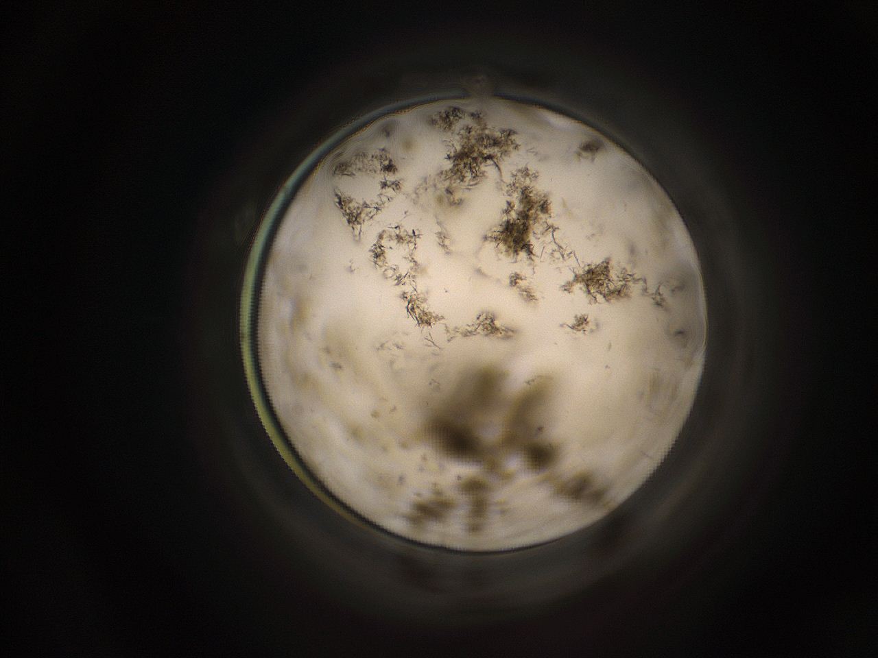 05k8_A9_ImagerDefaults_9.jpg
