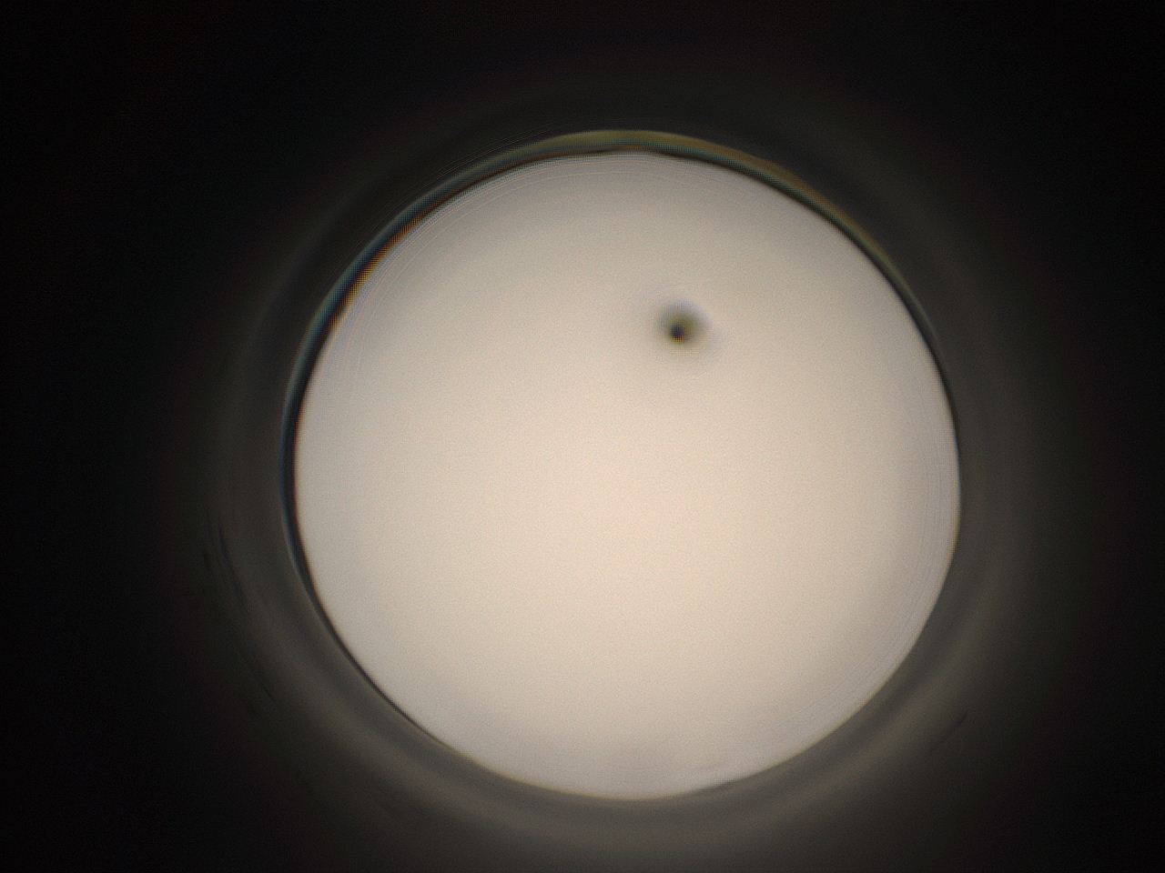 05k8_D17_ImagerDefaults_1.jpg