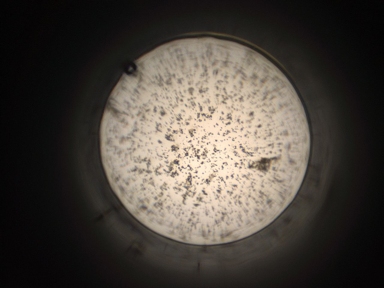 05k8_H9_ImagerDefaults_9.jpg