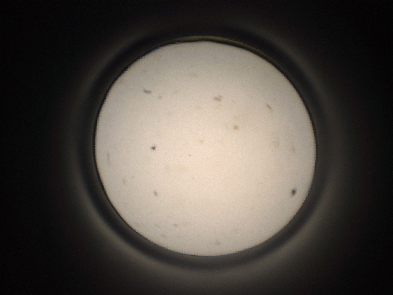 05k8_H10_ImagerDefaults_9.jpg
