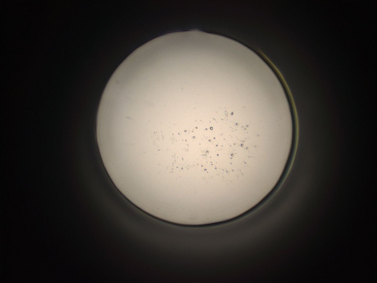 05k8_K9_ImagerDefaults_9.jpg