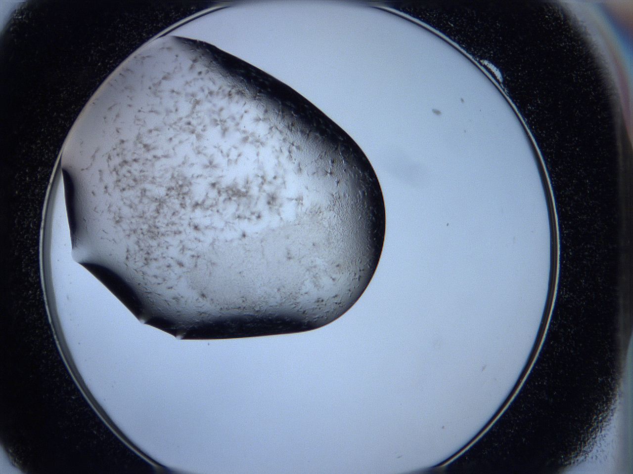 05ka_F9_ImagerDefaults_6.jpg