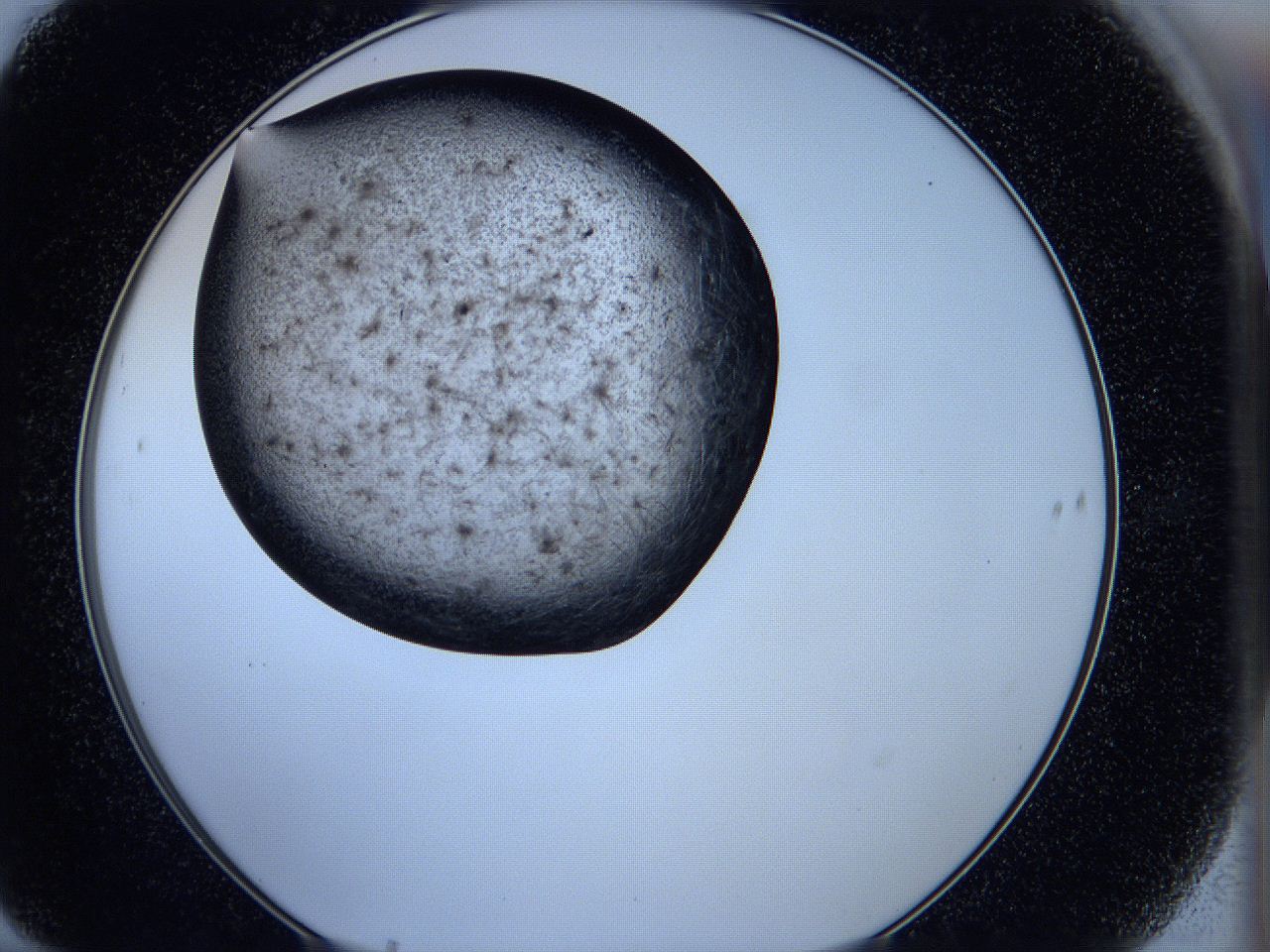 05ka_F10_ImagerDefaults_6.jpg