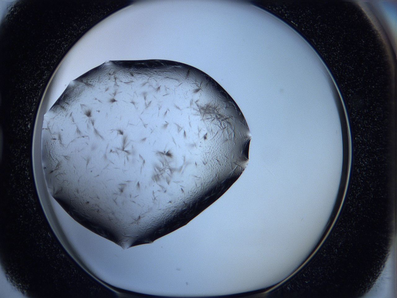 05ka_G4_ImagerDefaults_6.jpg