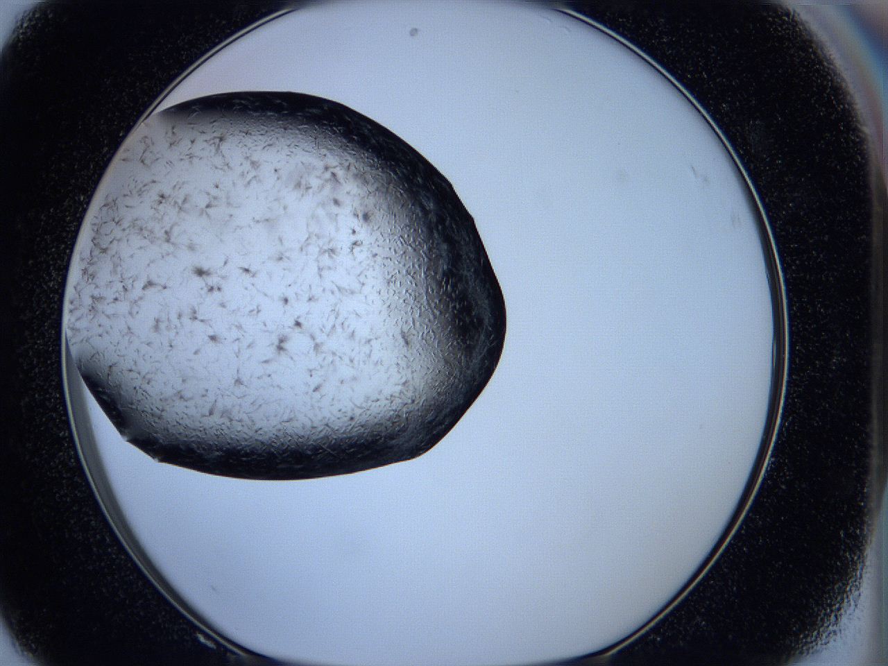 05ka_F8_ImagerDefaults_6.jpg