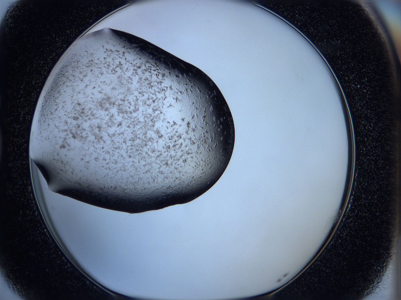 05ka_G5_ImagerDefaults_6.jpg