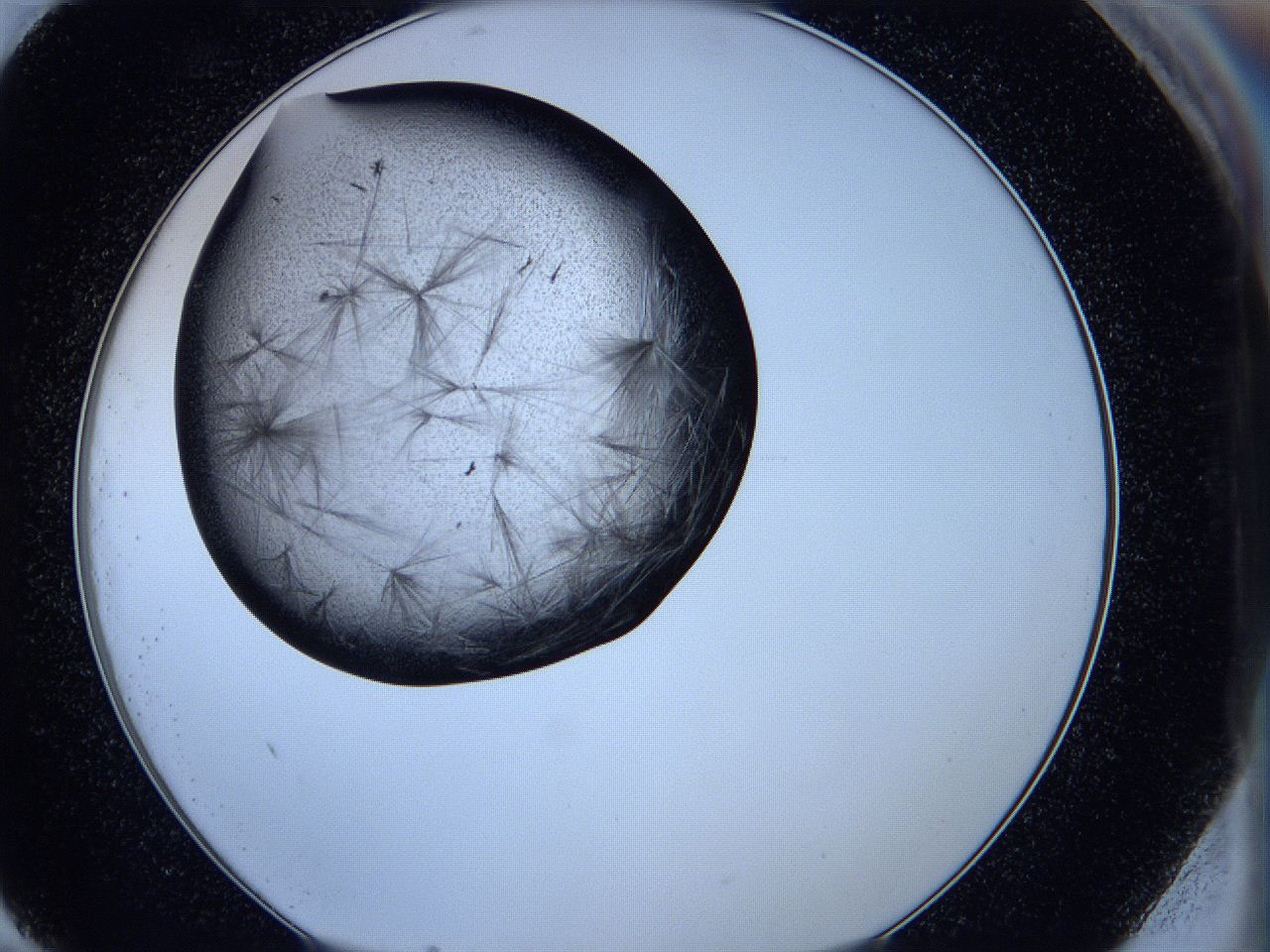 05ka_G11_ImagerDefaults_8.jpg