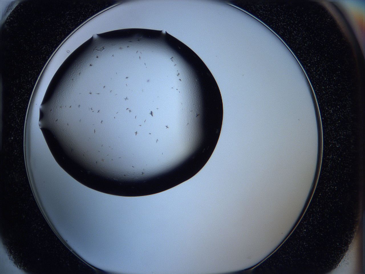 05ka_H4_ImagerDefaults_6.jpg