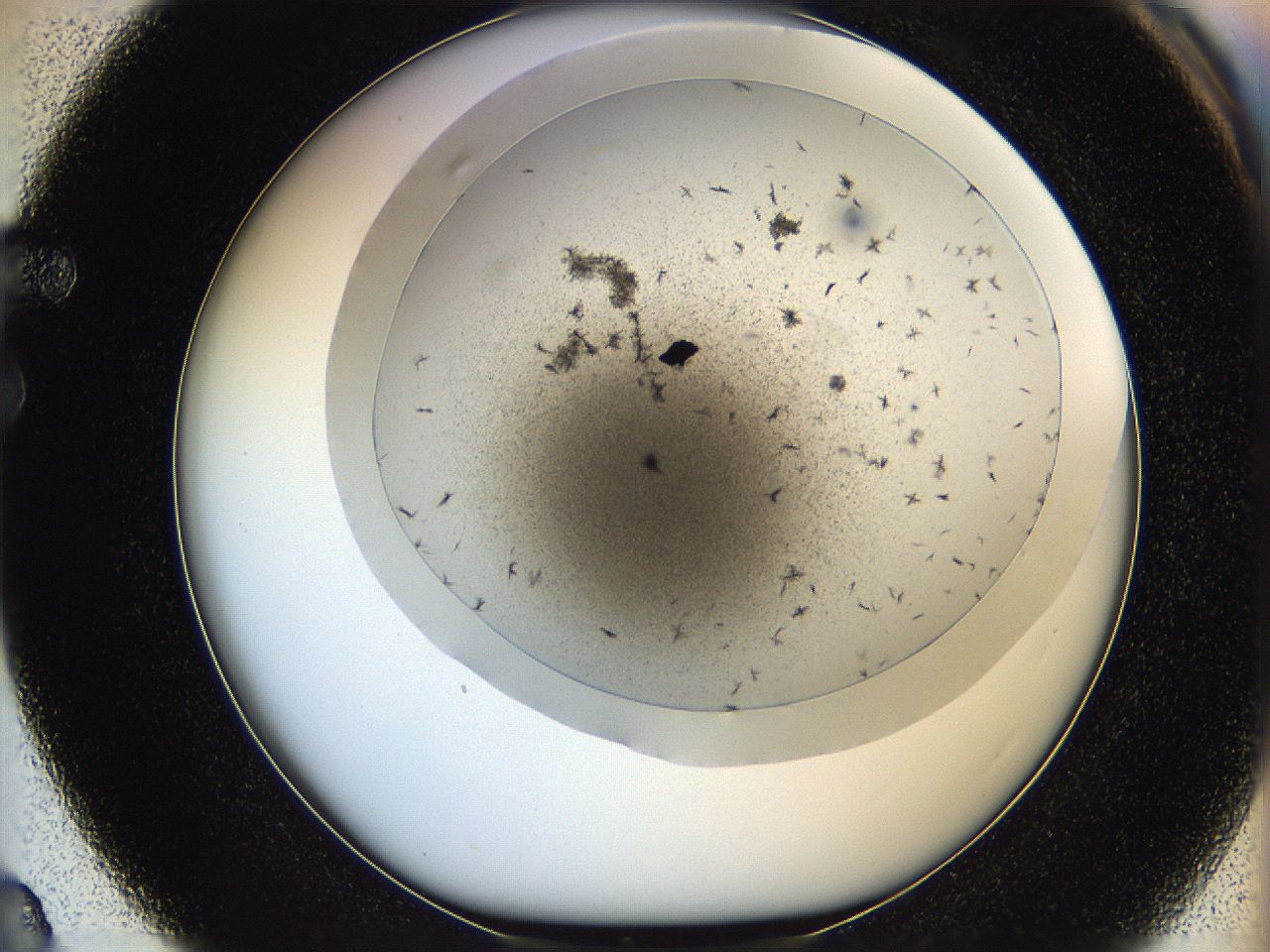 05kb_F3_ImagerDefaults_6.jpg