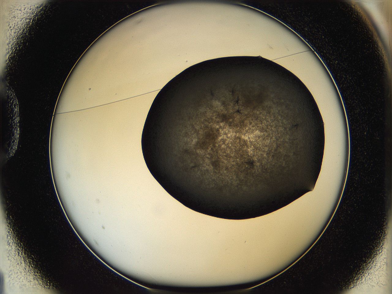 05kb_D1_ImagerDefaults_6.jpg