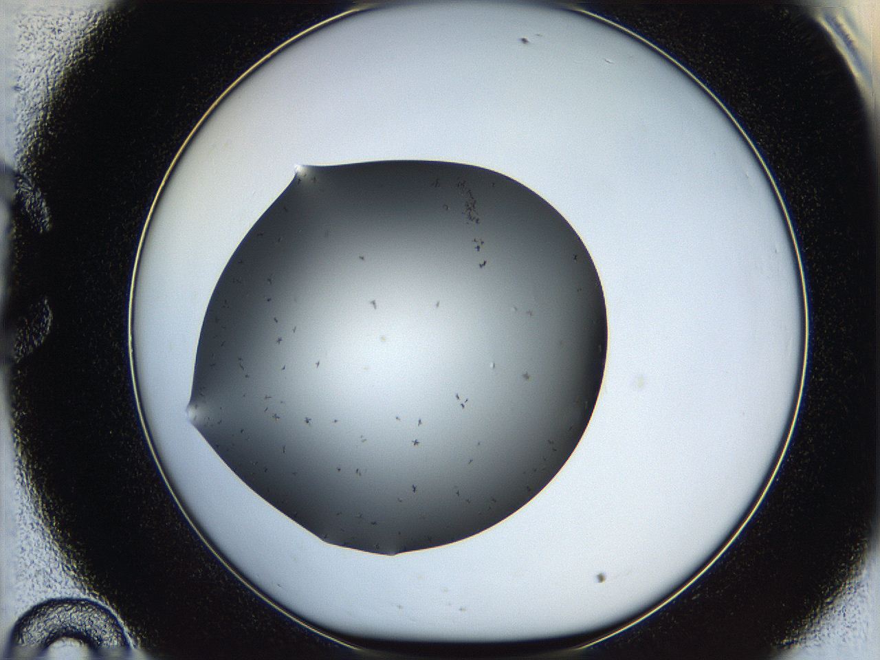 05kb_C10_ImagerDefaults_6.jpg