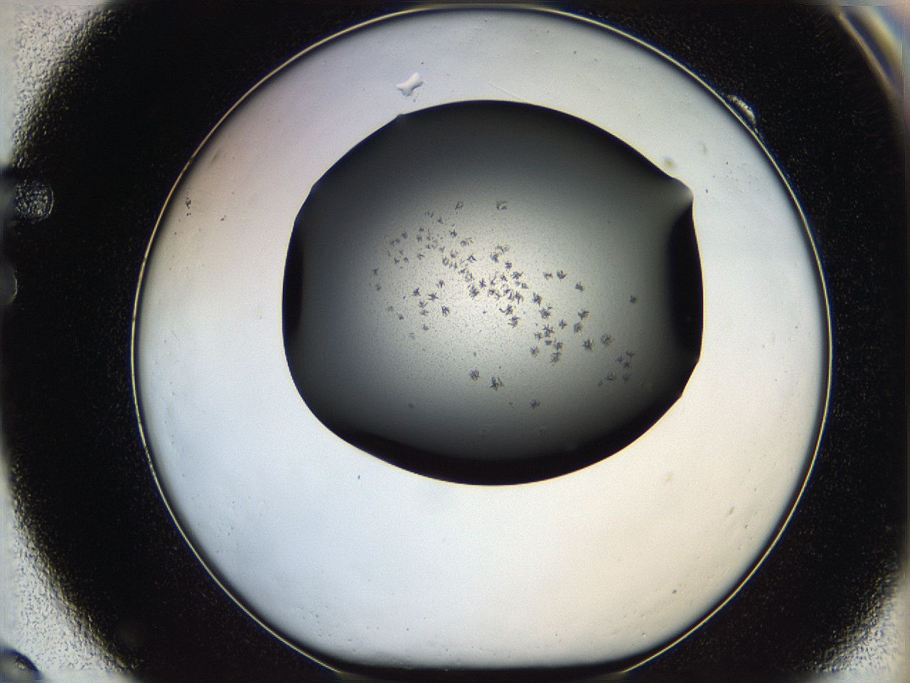 05kb_F9_ImagerDefaults_6.jpg