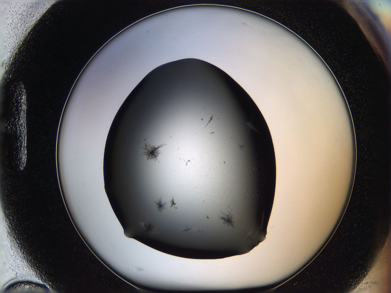 05kb_H10_ImagerDefaults_6.jpg
