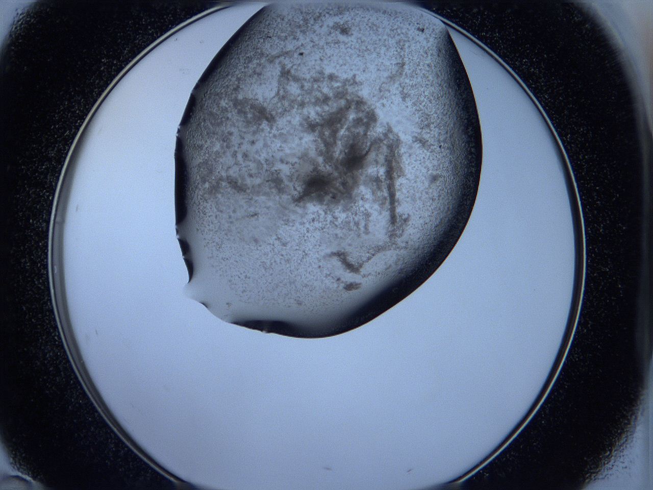 05kc_D10_ImagerDefaults_6.jpg
