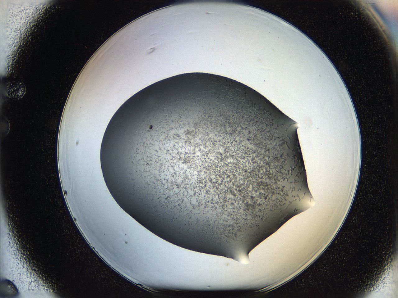 05kd_F6_ImagerDefaults_6.jpg