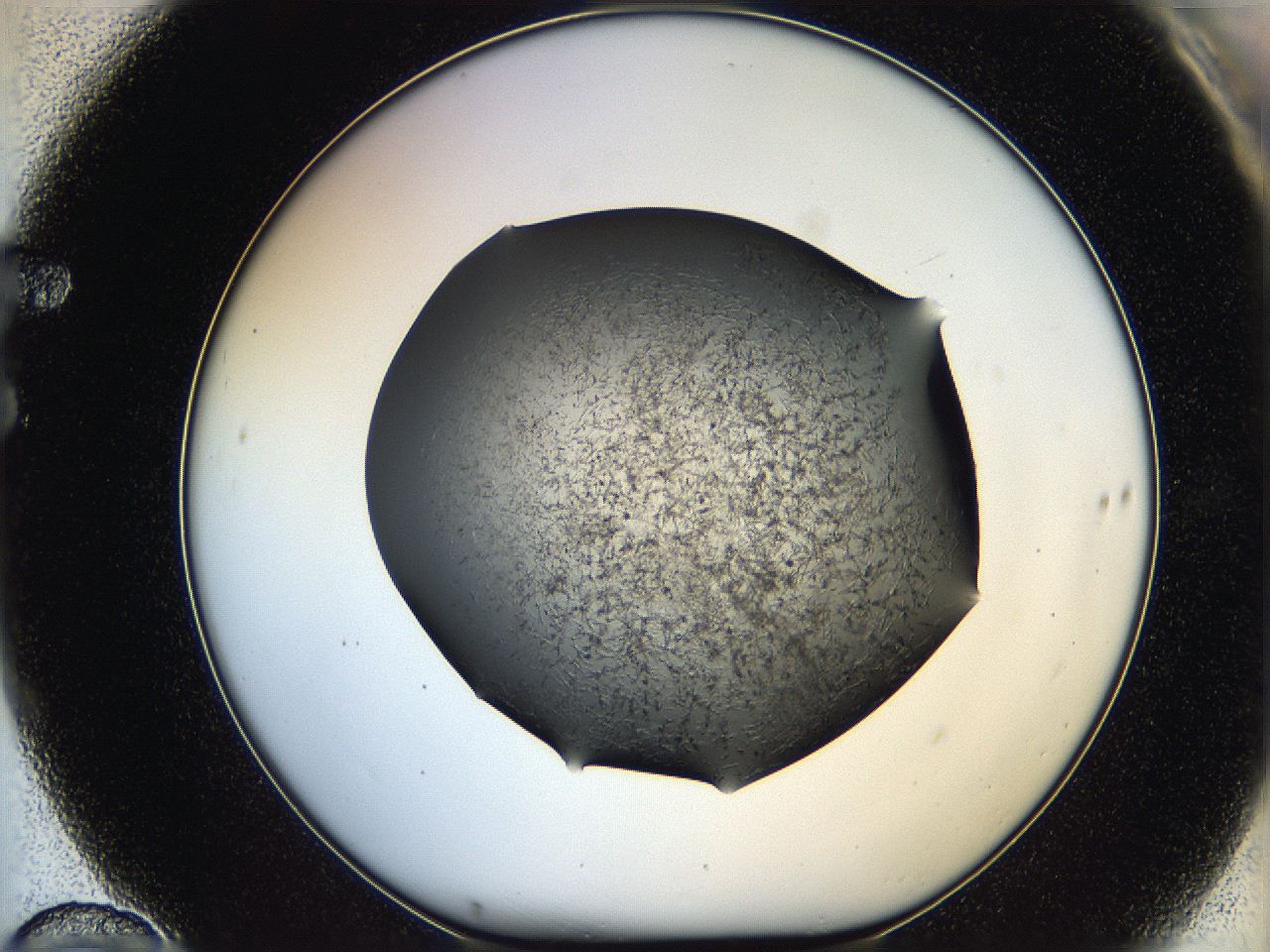 05kd_F10_ImagerDefaults_6.jpg