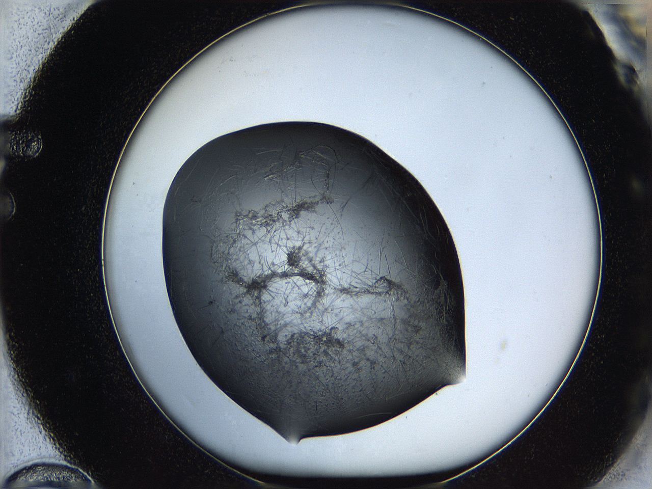 05kd_F12_ImagerDefaults_6.jpg