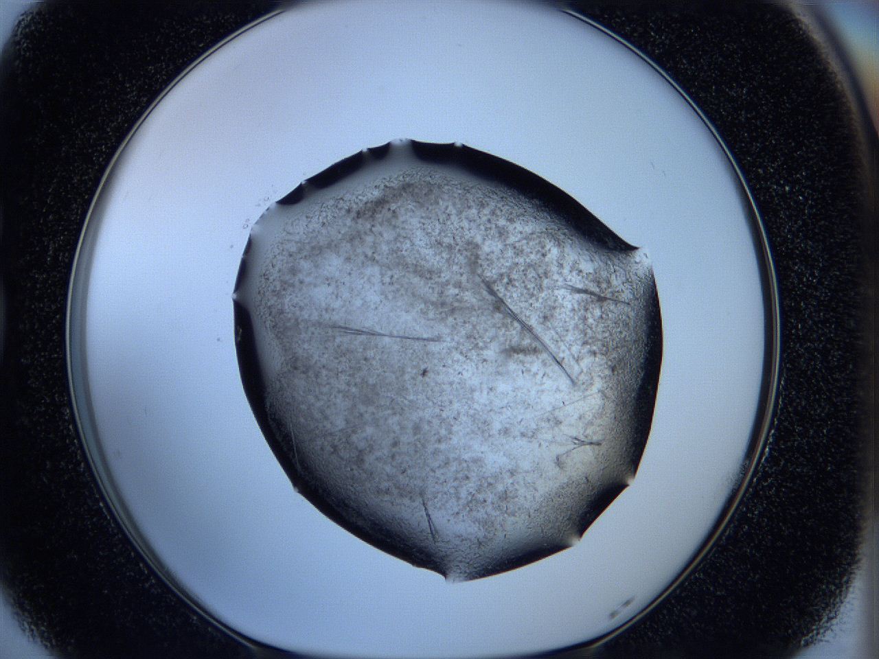 05ke_G5_ImagerDefaults_6.jpg