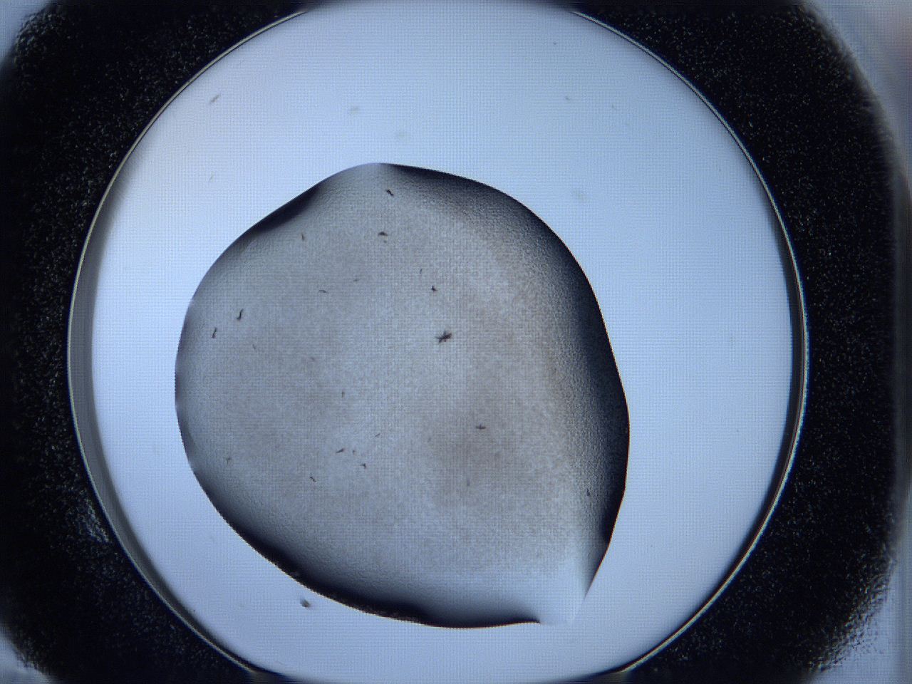 05ke_E10_ImagerDefaults_6.jpg
